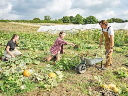 ypaithros-chora-efimerida-gia-tin-agrotiki-anaptyxi-kai-oikonomia-369574