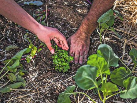 resoil-chrimatodotisi-4-ekat-evro-gia-tin-klimakosi-tis-anagennitikis-georgias-369642