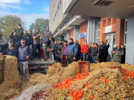 symvainei-tora-stin-antiperifereia-kavalas-agrotes-richnoun-ntomates-stafylia-kai-midiki-vinteo-369195