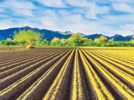 metatithetai-i-diorganosi-tis-31is-diethnous-ekthesis-agrotica-gia-tis-12-15-martiou-2026-369089