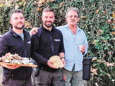 se-anodiki-trochia-to-manitari-368281