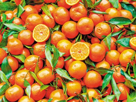 i-peiraios-anakirychthike-kalyteri-trapeza-stin-ellada-368377