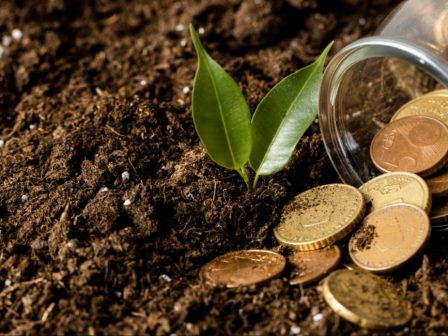 yperkalyfthike-o-proypologismos-tis-paremvasis-gia-ta-thermokipia-oi-aitiseis-efthasan-sto-180-tou-diathesimou-posou-369081