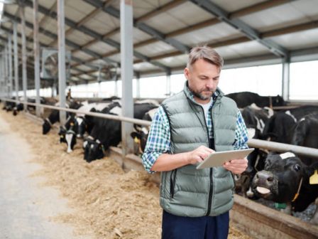 analytikos-odigos-tis-tilekpaidefsis-gia-syndedemenes-poious-afora-prosvasi-parakolouthisi-mathimaton-exetasi-kai-katavoli-enischysis-368757