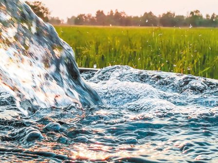 pella-se-leitourgia-ardeftiki-geotrisi-meta-apo-polyeti-anamoni-368253