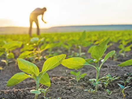 mia-sygchroni-anagkaiotita-gia-ti-gonimotita-ton-edafon-para-tis-prokliseis-369582