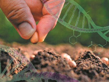 nees-gonidiomatikes-technikes-ti-perilamvanei-i-nea-symfonia-poioi-antidroun-kai-pos-tha-exaleifthoun-oi-fovoi-ton-katanaloton-369353