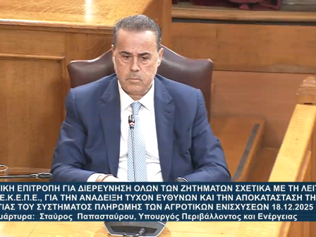 Εξεταστική ΟΠΕΚΕΠΕ: Καταθέτει ο Σταύρος Παπασταύρου υπουργός Περιβάλλοντος και Ενέργειας