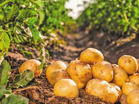 epitaktiki-anagki-i-enischysi-tis-ethnikis-stratigikis-gia-tous-zoikous-genetikous-porous-369005