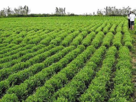 psychanthi-me-apothemata-kai-prosdokies-xekina-i-nea-sezon-tis-fakis-368239