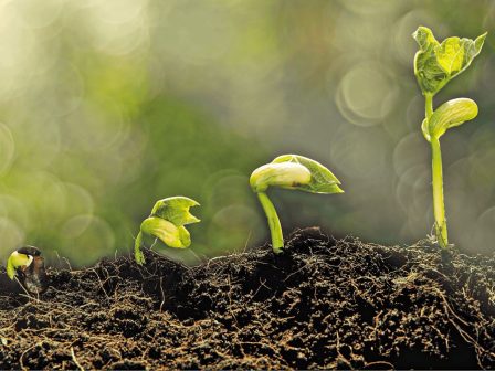 nextgen-innovators-anoixan-oi-aitiseis-gia-ton-6o-panellinio-mathitiko-diagonismo-epicheirimatikotitas-369481