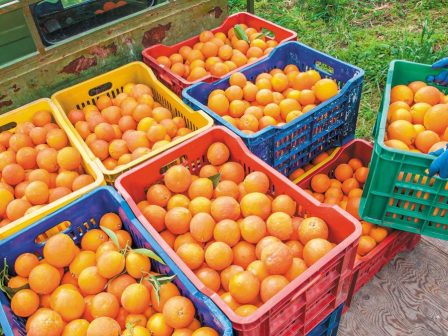 ypaithros-chora-efimerida-gia-tin-agrotiki-anaptyxi-kai-oikonomia-368911