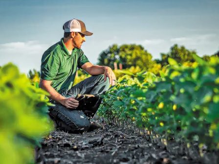 ypaithros-chora-efimerida-gia-tin-agrotiki-anaptyxi-kai-oikonomia-368738