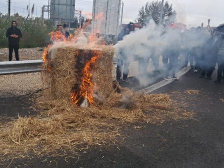 agrotes-ekleisan-tin-e-o-sto-ypsos-tou-pyrgou-kai-ton-lechainon-erixan-gala-ston-dromo-ekapsan-sano-368565