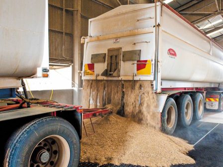 o-efet-anakalei-katepsygmeno-bifteki-logo-salmonelas-368817