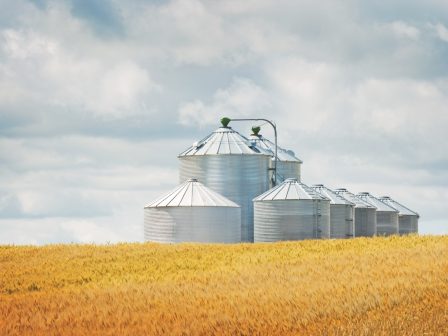 Τι αναφέρουν οι προβλέψεις του Δεκεμβρίου για σιτηρά, ρύζι και ελαιούχα