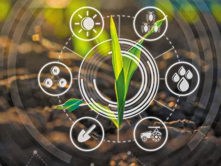 corenet-diathesima-kainotoma-paradeigmata-symvouleftikis-stin-evropi-368242