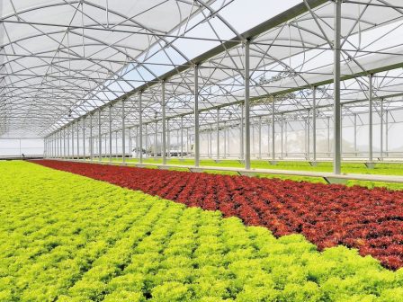 eu-agricultural-outlook-2025-2035-pou-katefthynetai-i-evropaiki-georgia-tin-epomeni-dekaetia-369475