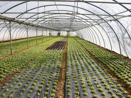 metatithetai-i-diorganosi-tis-31is-diethnous-ekthesis-agrotica-gia-tis-12-15-martiou-2026-369092