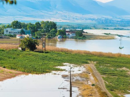 ta-kritiria-epilogis-kalliergeias-kai-oi-kalliergitikes-frontides-sta-plimmyrismena-edafi-tis-thessalias-368950