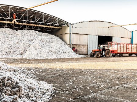 Μείωση κατά 33,2% στις εξαγωγές του ελληνικού βαμβακιού σε μια πενταετία