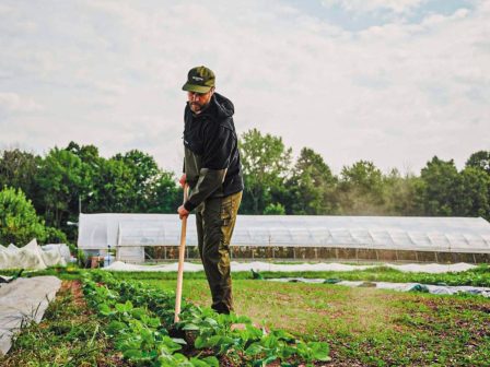 metatithetai-i-diorganosi-tis-31is-diethnous-ekthesis-agrotica-gia-tis-12-15-martiou-2026-368860