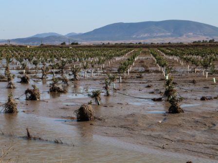 ypaithros-chora-efimerida-gia-tin-agrotiki-anaptyxi-kai-oikonomia-370094