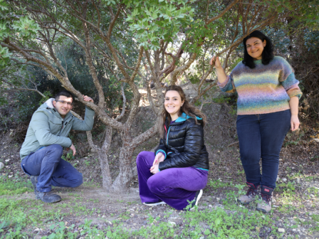 ypaithros-chora-efimerida-gia-tin-agrotiki-anaptyxi-kai-oikonomia-372235