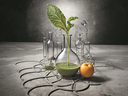 ypaithros-chora-efimerida-gia-tin-agrotiki-anaptyxi-kai-oikonomia-370681