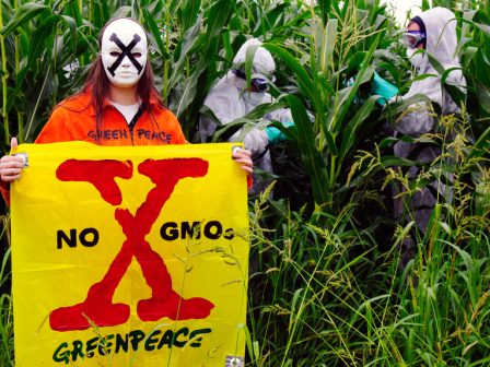 g-kotsiras-pos-exelissetai-i-diadikasia-anaktisis-ton-paranomon-enischyseon-372155