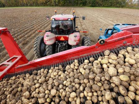 ospria-ligotera-stremmata-fetos-gia-ta-revithia-logo-ton-apothematon-371701