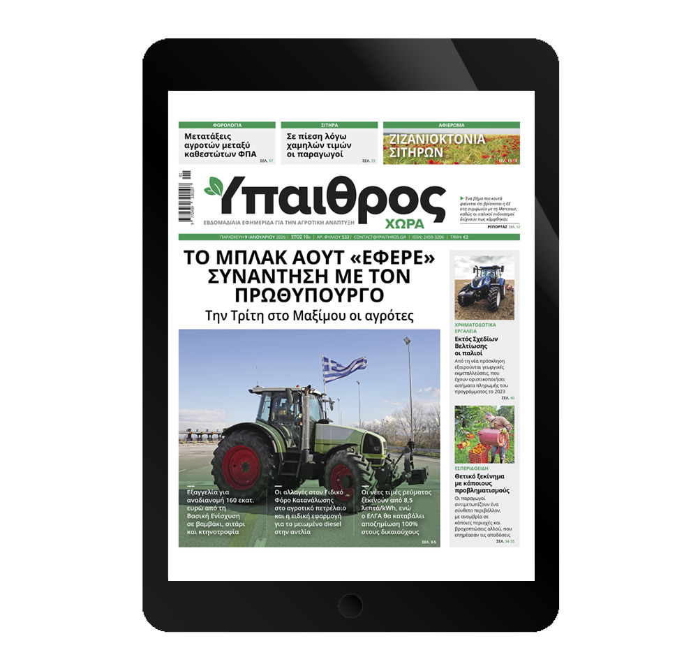 532-paraskevi-9-ianouariou-2026-370901