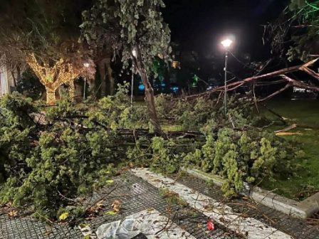 episkepsi-stelechon-tou-oef-stis-etaireies-myloi-sogias-kai-ellinika-eklekta-elaia-371081