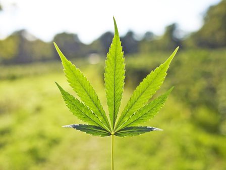 stochos-i-20i-ianouariou-gia-proti-pliromi-diorthoseon-vasikis-anadianemitikis-kai-neous-georgous-371403