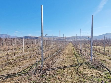 ypaithros-chora-efimerida-gia-tin-agrotiki-anaptyxi-kai-oikonomia-372199