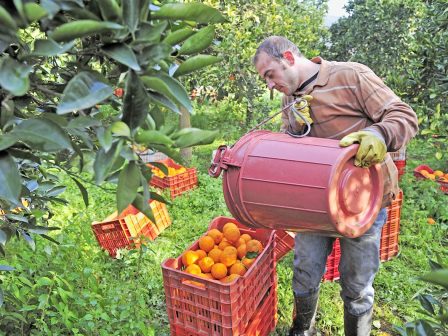 ypaithros-chora-efimerida-gia-tin-agrotiki-anaptyxi-kai-oikonomia-371225