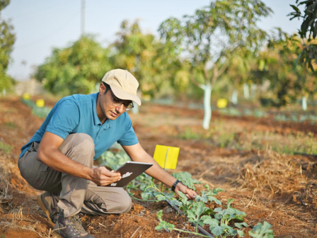 ypaithros-chora-efimerida-gia-tin-agrotiki-anaptyxi-kai-oikonomia-372049