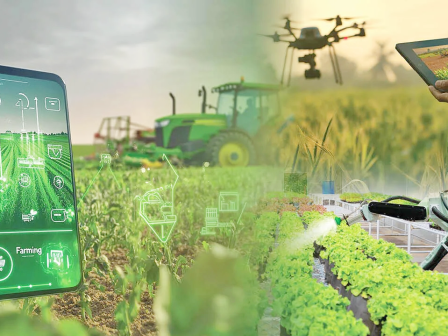 greenpeace-geotee-organoseis-genetika-tropopoiimena-fyta-metallagmena-erchontai-sto-piato-mas-372045