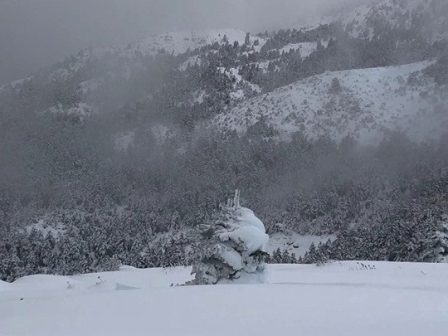 ypaithros-chora-efimerida-gia-tin-agrotiki-anaptyxi-kai-oikonomia-370811