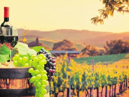 ypaithros-chora-efimerida-gia-tin-agrotiki-anaptyxi-kai-oikonomia-371890