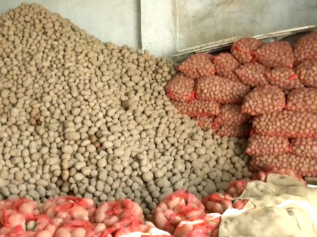 elgo-dimitra-i-georgiki-scholi-mesaras-xanazontanevei-372225