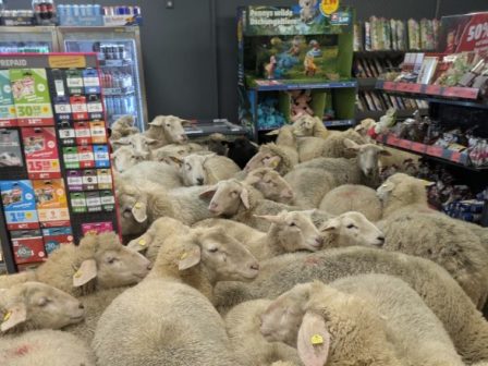 ypaithros-chora-efimerida-gia-tin-agrotiki-anaptyxi-kai-oikonomia-370857