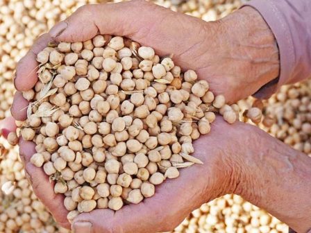 bloko-apo-to-evrokoinovoulio-stin-amfilegomeni-eboriki-symfonia-tis-ee-me-tis-chores-tis-mercosur-371744