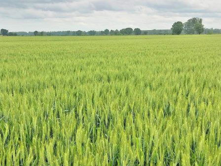 ypaithros-chora-efimerida-gia-tin-agrotiki-anaptyxi-kai-oikonomia-372218