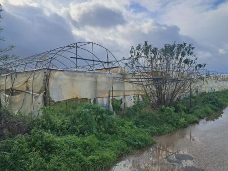 ileia-katastrofes-se-thermokipia-sto-gannitsochori-stirixi-zitoun-oi-paragogoi-371042