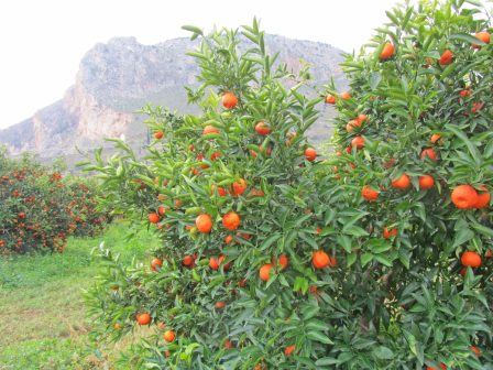 ypaithros-chora-efimerida-gia-tin-agrotiki-anaptyxi-kai-oikonomia-371235