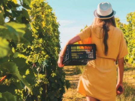 ypaithros-chora-efimerida-gia-tin-agrotiki-anaptyxi-kai-oikonomia-371938