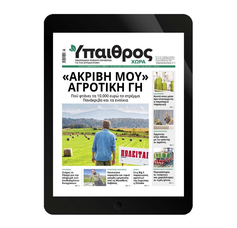 536-paraskevi-6-fevrouariou-2026-372719