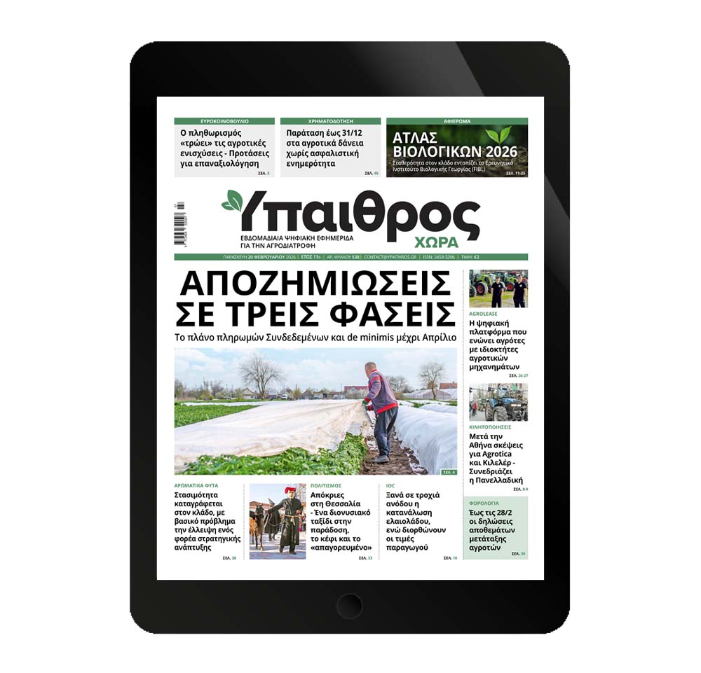 538-paraskevi-20-fevrouariou-2026-373618