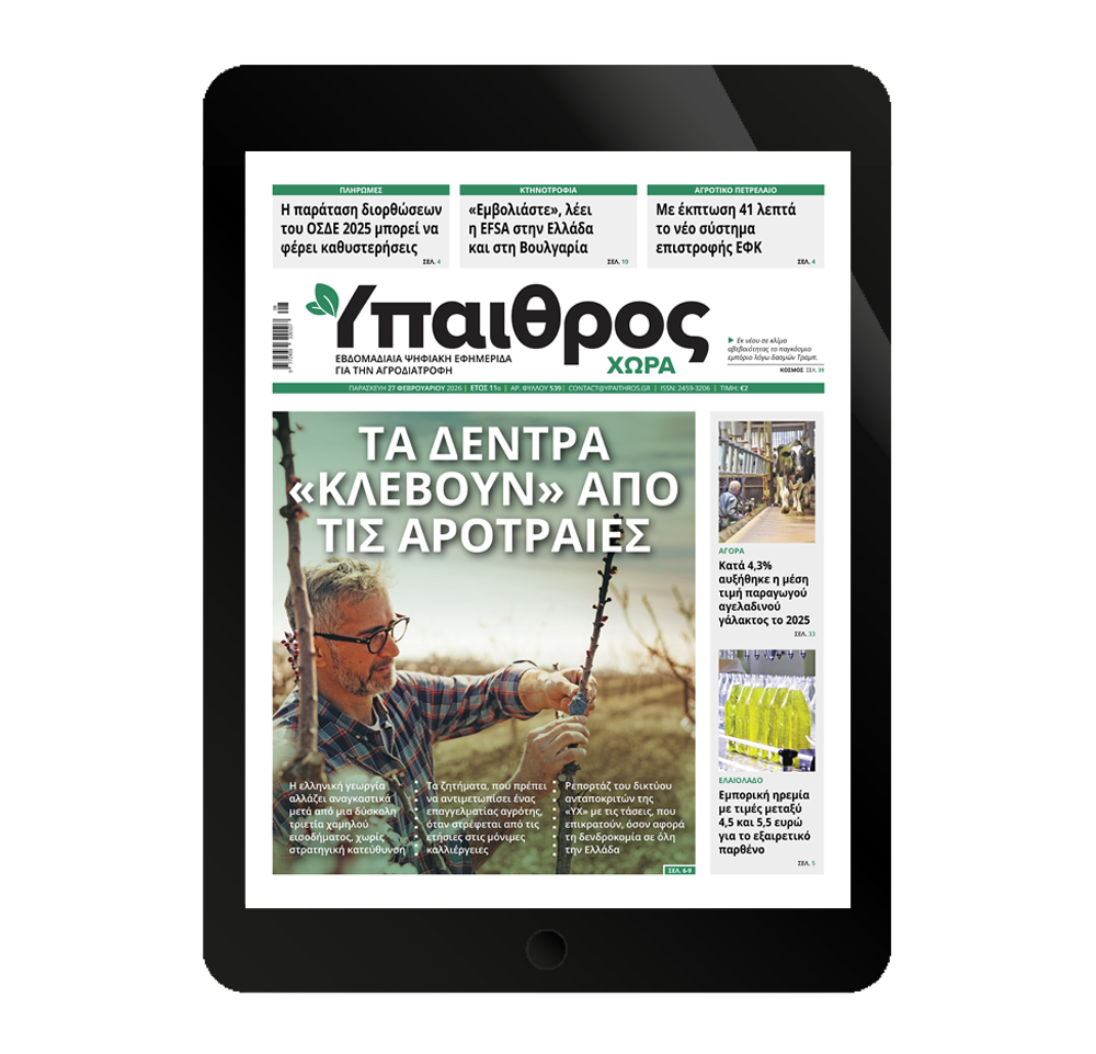 539-paraskevi-27-fevrouariou-2026-373992